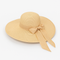 Chapeau de Plage Femme en Paille avec Large Bord